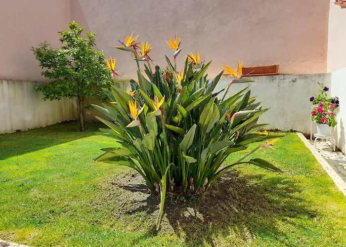 A Casa Da Avo Ana